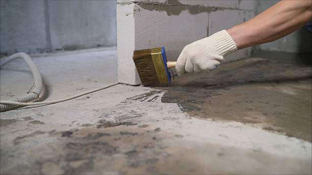 SJ Waterproofing Pros Emergency Waterproofing coverage map for Hesperia, MI and surrounding area